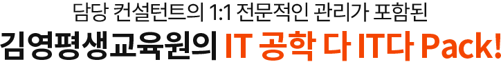 담당 컨설턴트의 1:1 전문적인 관리가 포함된 김영평생교육원의 IT공학 다 IT다 Pack