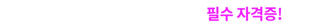 이공계 학위취득 및 IT 취업 필수자격증