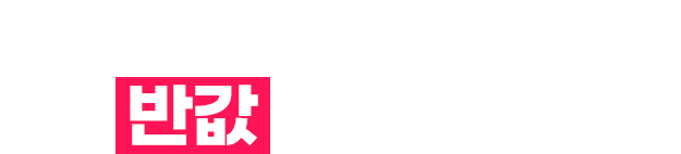 4종 자격증 반값 할인 쿠폰